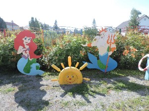 �����������